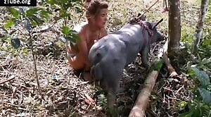 bingo cartela cheia - sizzling,encounter