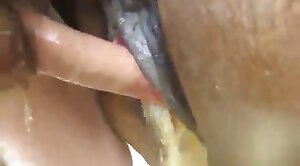 beastiality,porno-scene